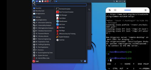 安卓系统安装kali linux,Kali Linux安装指南