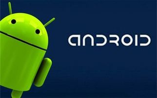 安卓是不是美国系统,源自美国的全球移动操作系统传奇”