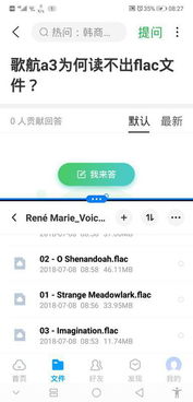 安卓系统能播放flac,兼容性与解决方案详解
