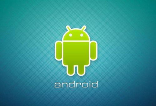 安卓系统设备激活失败,原因分析与解决指南