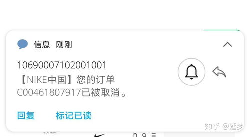 snkrs安卓系统有吗,使用体验与注册指南