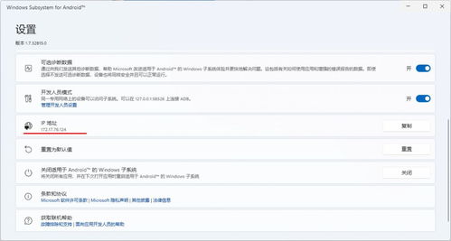 安卓系统显示ip地址,操作指南详解