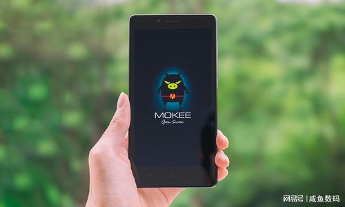 安卓手机魔趣系统,体验纯净原生安卓的魅力