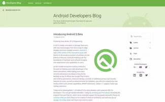 安卓10.0系统稳定吗,稳定性与性能的双重保障