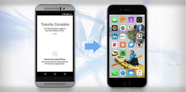 锐评苹果安卓系统,性能、定制与隐私的较量