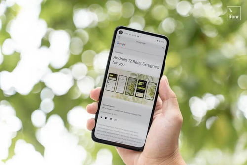 安卓12系统特色功能,个性化与性能提升的完美融合
