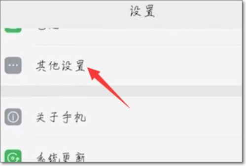 安卓系统otg在哪打开,拓展手机使用体验
