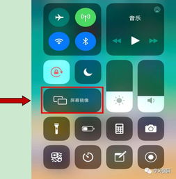 手机安卓系统没有镜像,从基础到高级技巧