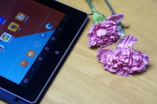 台电安卓系统无法进入,故障排查与解决方案