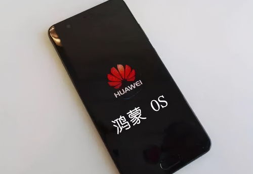 华为系统能超越安卓,迈向超越安卓的操作系统新纪元