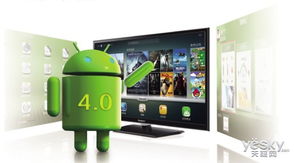 智能电视系统安卓6,功能与体验全面解析