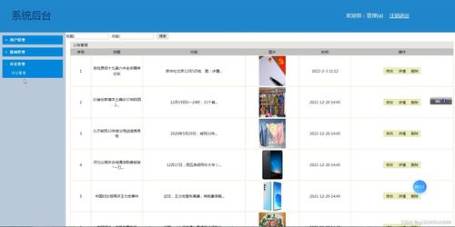 安卓系统怎么浏览ins,一步到位的指南