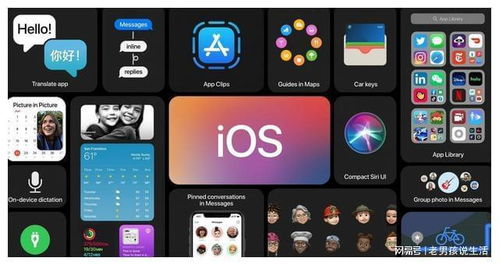 苹果os系统和安卓,性能、生态与安全性的全面对比
