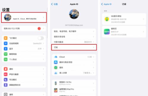 安卓系统取消app续费,安卓系统下轻松取消app自动续费指南