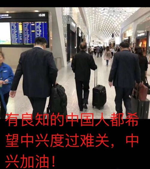 中兴禁止安卓系统吗,应对挑战与寻求替代方案”