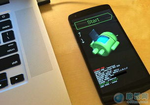 lg怎么刷安卓系统,解锁更多功能与玩法