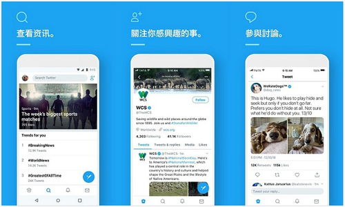 twitter官网安卓系统,功能概览与用户体验体验