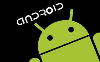 安卓系统英语叫什么,Exploring the Android Operating System: 