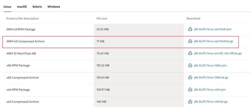 安卓系统能运行jar,探索Java程序在安卓设备上的运行之道