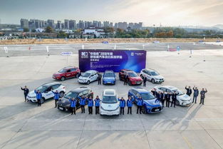 新能源汽车系统安卓,新能源汽车动力系统安卓集成技术概述