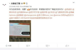 华为安卓系统停止授权,自主创新的里程碑