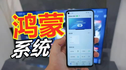 华为安卓鸿蒙双系统,鸿蒙与安卓的融合与创新