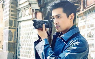 胡歌安卓系统市场,市场现状与未来展望