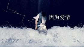 安卓系统 问题 知乎,从知乎汲取的实用技巧与解决方案