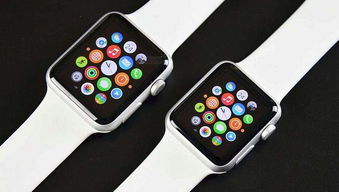 iphonewatch支持安卓系统吗,不支持安卓系统