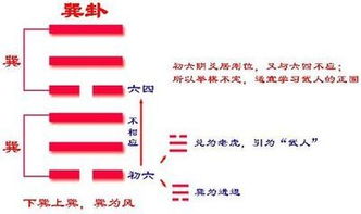 巽风安卓系统要求,探索极致性能与流畅体验的奥秘