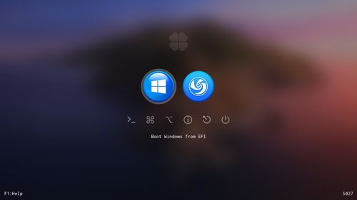 clover引导多系统安卓,Clover引导下安卓多系统安装与配置指南