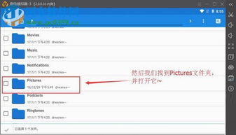 安卓系统如何导出相片,轻松备份手机相册