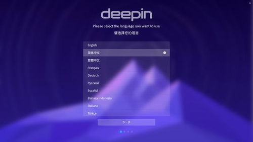 安卓平板安装deepin系统,安卓平板成功安装deepin系统的实践指南