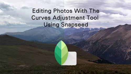 安卓系统能用snapseed吗,Snapseed手机修图软件深度解析与使用技巧