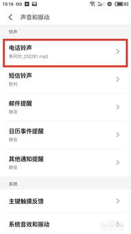 安卓系统没有铃声大小,解锁个性化铃声与音量调节技巧