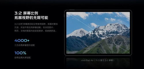 vivo平板安卓10系统,畅享智能办公与娱乐体验