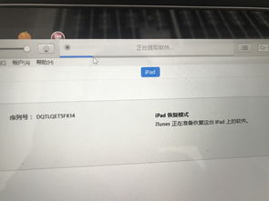 安卓平板系统怎么变ipad系统,系统转换攻略与体验对比”