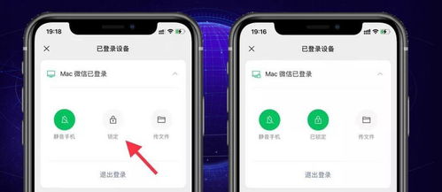 苹果安卓双系统应用,体验无缝切换的智能生活新篇章