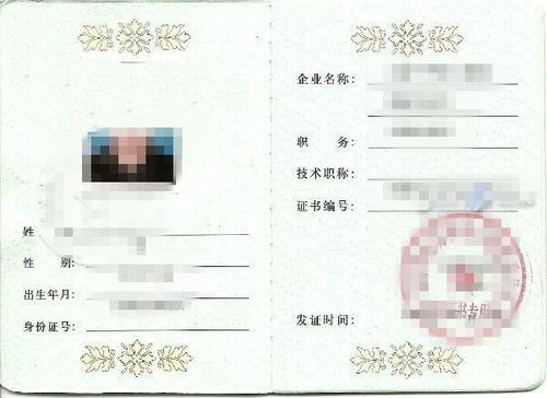 机场安全员模拟器 