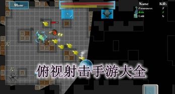 俯视射击游戏安卓,体验视觉盛宴