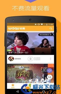 老年安卓系统app