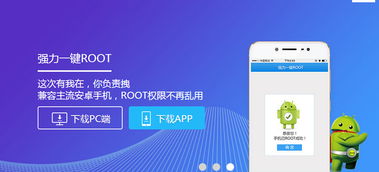 安卓系统root好处,安卓系统Root的五大好处解析