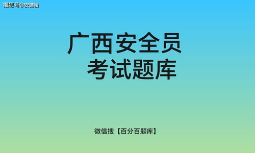 机场安全员模拟器 