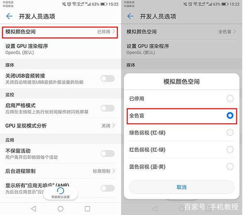 安卓系统 黑白模式,打造沉浸式视觉体验