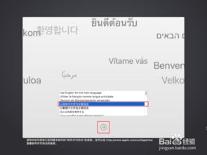 vmware 安卓mac系统,跨平台体验的完美融合