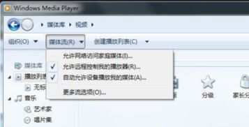 安卓系统dlna吗,实现跨设备无缝共享