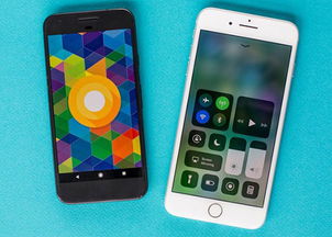 安卓系统适用iOS,探索跨平台应用开发的无限可能