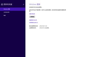 安卓8系统 flash,操作指南与技巧解析