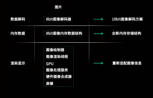 安卓生态管理系统,构建高效智能移动应用生态圈