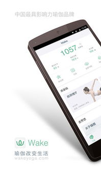 yoga 有安卓系统,安卓系统下的瑜伽应用概览
